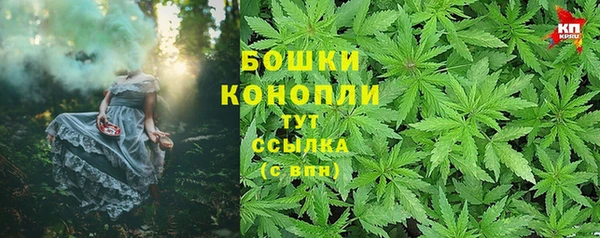 spice Осинники