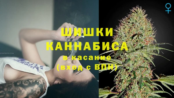 spice Осинники