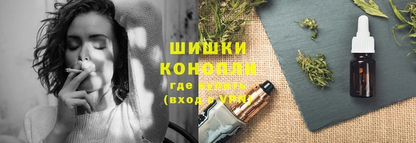 PSILOCYBIN Осташков